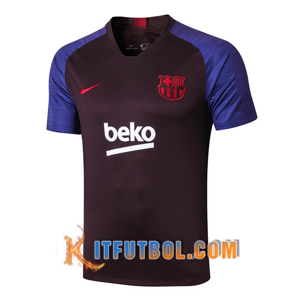 Camiseta Entrenamiento FC Barcelona Purpura 19/20