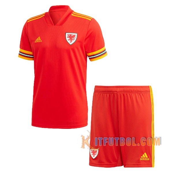 Camisetas Futbol Gales Niños Primera 2020/2021