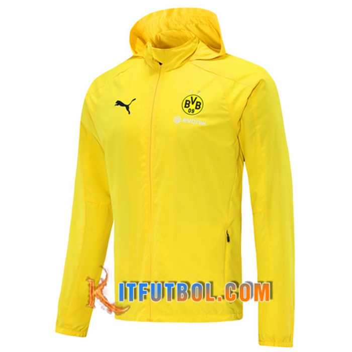 Rompevientos Chaqueta Dortmund BVB Amarillo 2020/2021