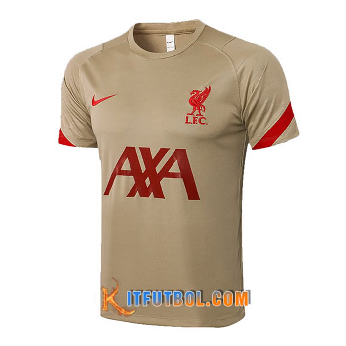 Camiseta Entrenamiento FC Liverpool Brun 2021/2022