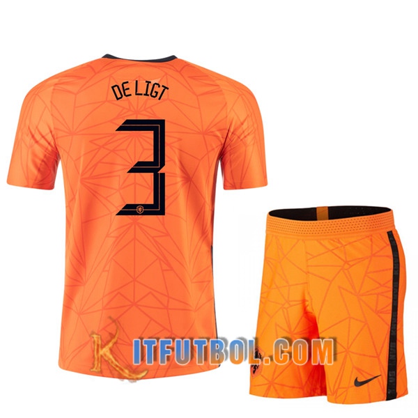 Camisetas Futbol UEFA Euro 2020 Países Bajos (DE LIGT 3) Ninos Primera