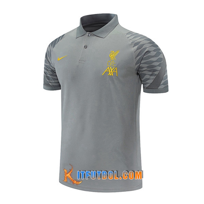 Camiseta Polo FC Liverpool Gris 2021/2022