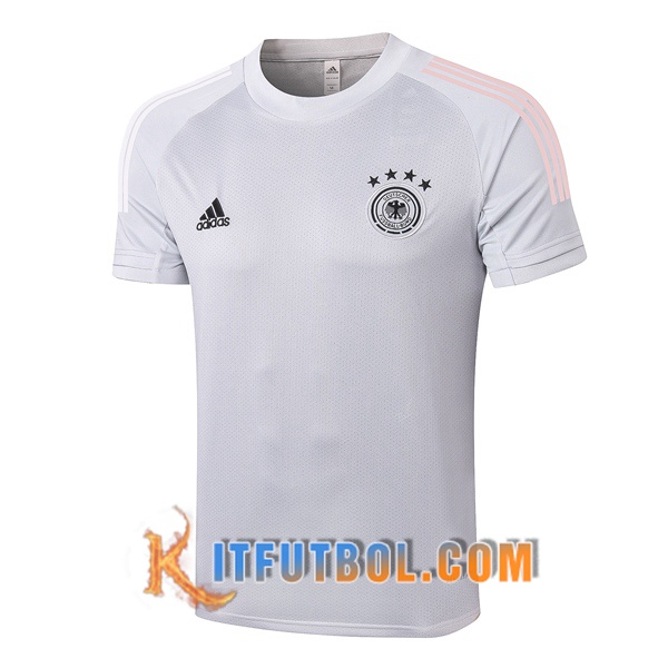 Camisetas de entrenamiento Alemania Gris Claro 20/21