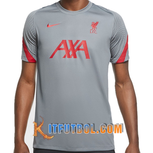 Camisetas de entrenamiento FC Liverpool Gris 20/21
