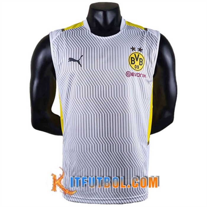 Camiseta Entrenamiento sin mangas Dortmund Gris 2022/2023