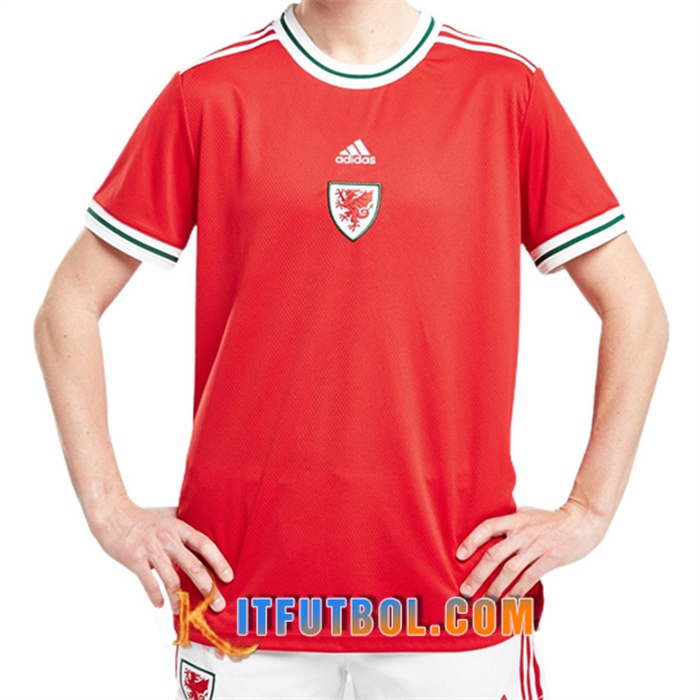 Camiseta Futbol Gales Primera 2022/2023