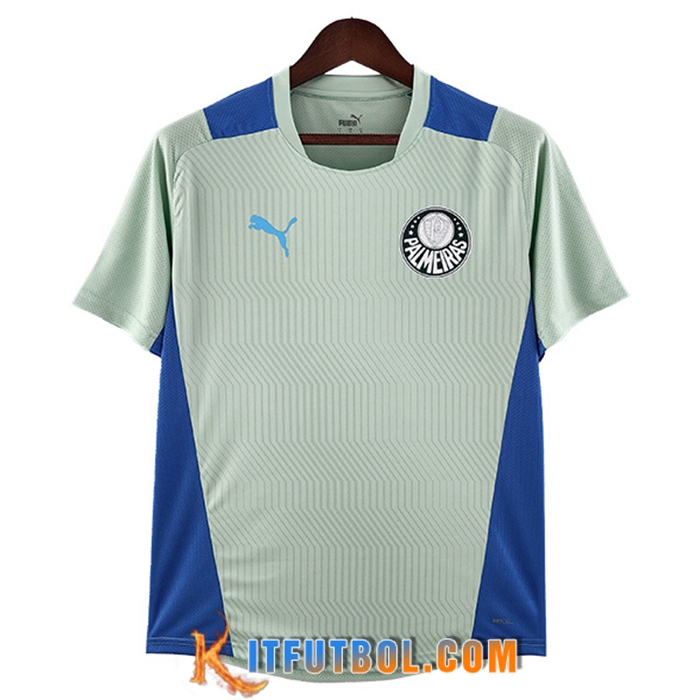 Camiseta Entrenamiento Palmeiras Verde 2022/2023