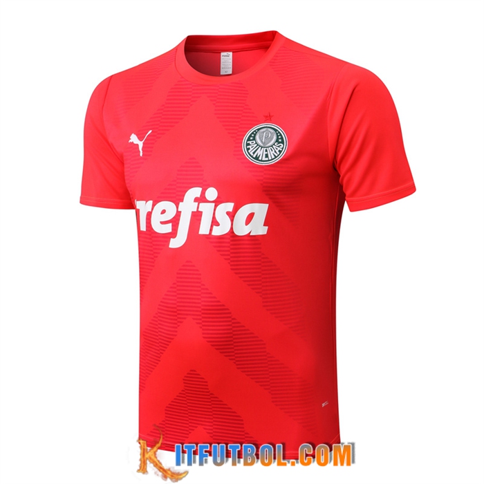 Camiseta Entrenamiento Palmeiras Rojo 2022/2023