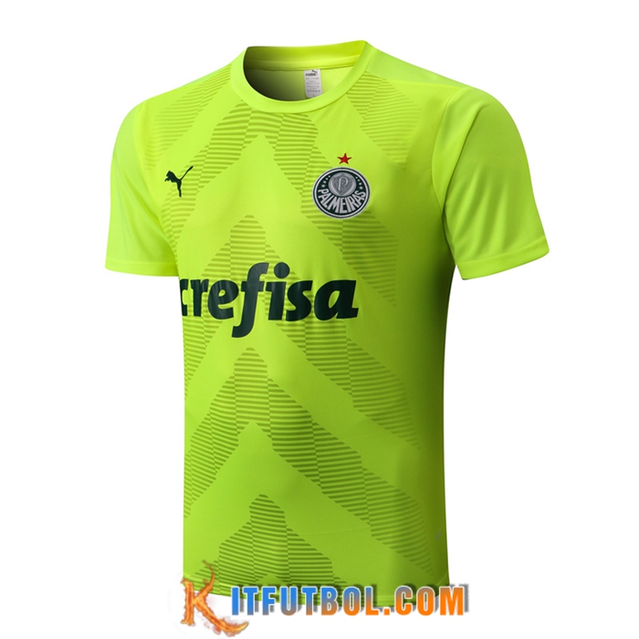 Camiseta Entrenamiento Palmeiras Verde 2022/2023