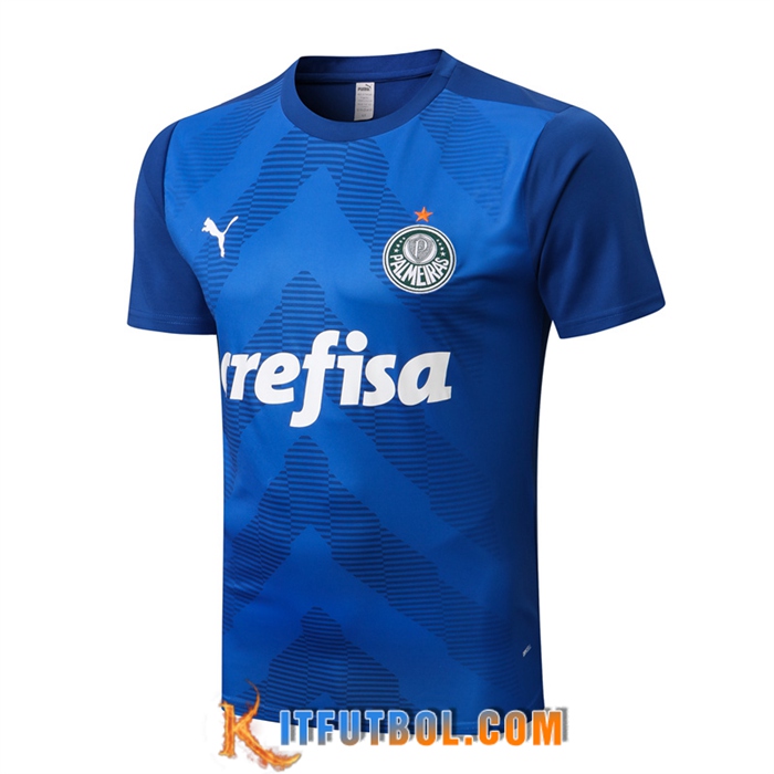 Camiseta Entrenamiento Palmeiras Azul 2022/2023