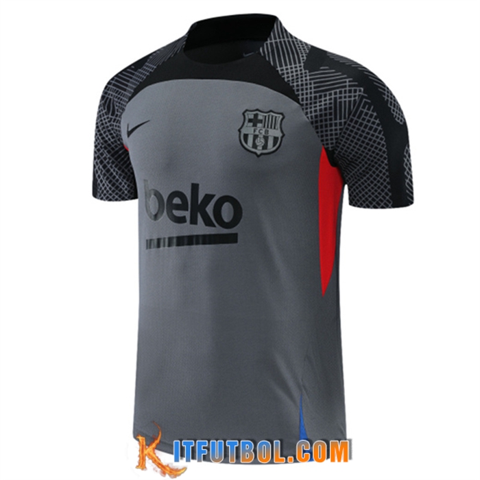 Camiseta Entrenamiento FC Barcelona Gris 2022/2023