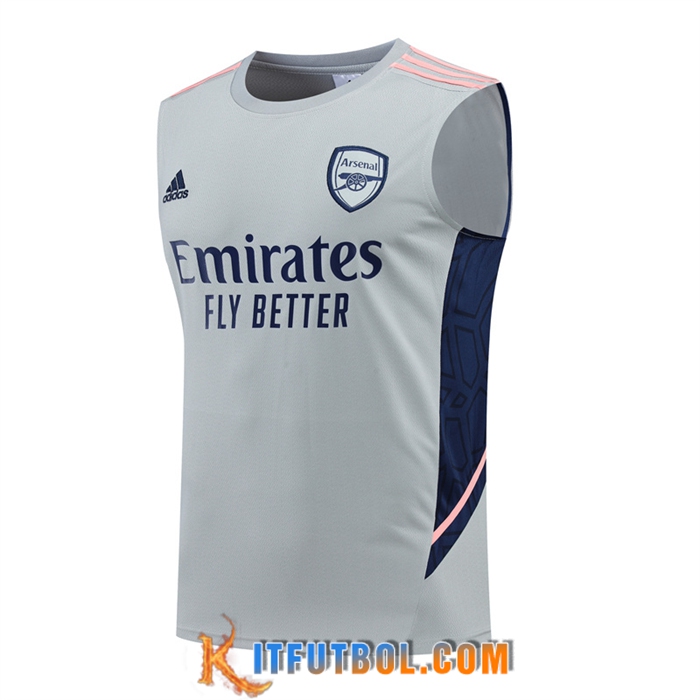 Camiseta Entrenamiento sin mangas Arsenal Gris 2022/2023