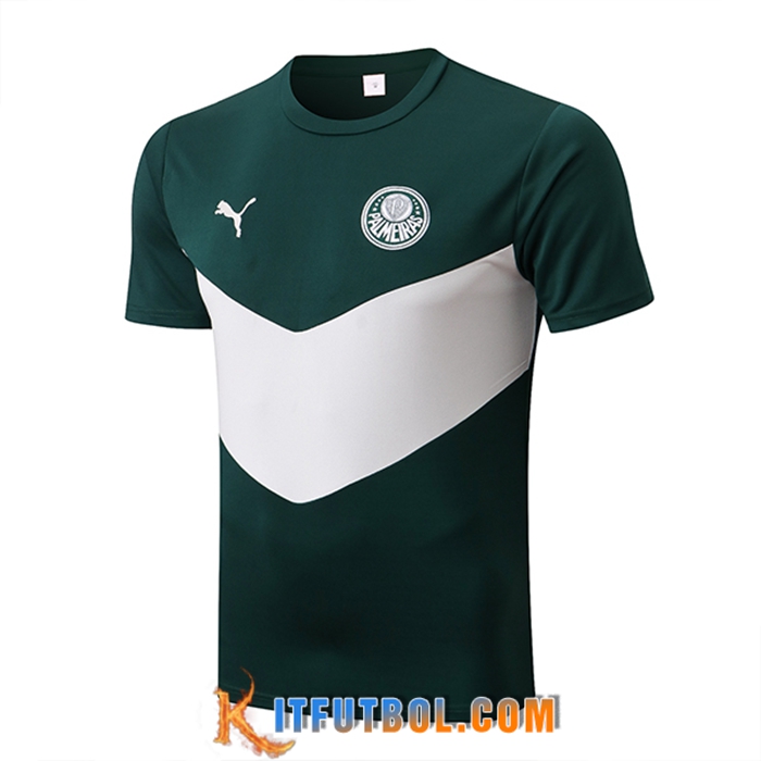 Camiseta Entrenamiento Palmeiras Verde/Blanco 2022/2023
