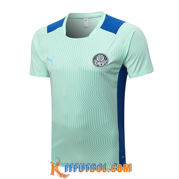 Camiseta Entrenamiento Palmeiras Verde 2022/2023