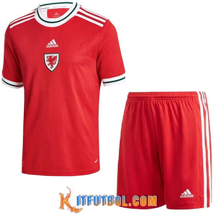 Camisetas De Futbol Gales Ninos Primera 2022/2023