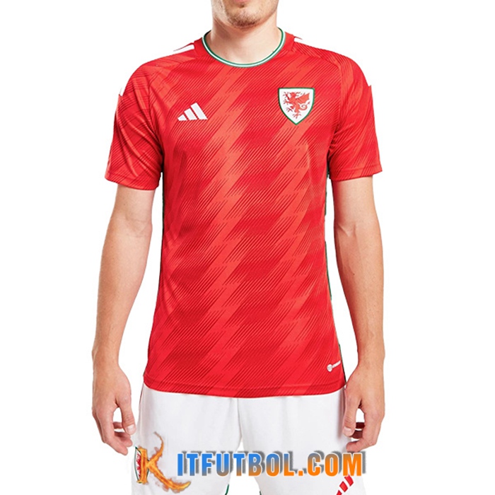 Nueva Camiseta Equipo Nacional Gales Segunda 2022/2023