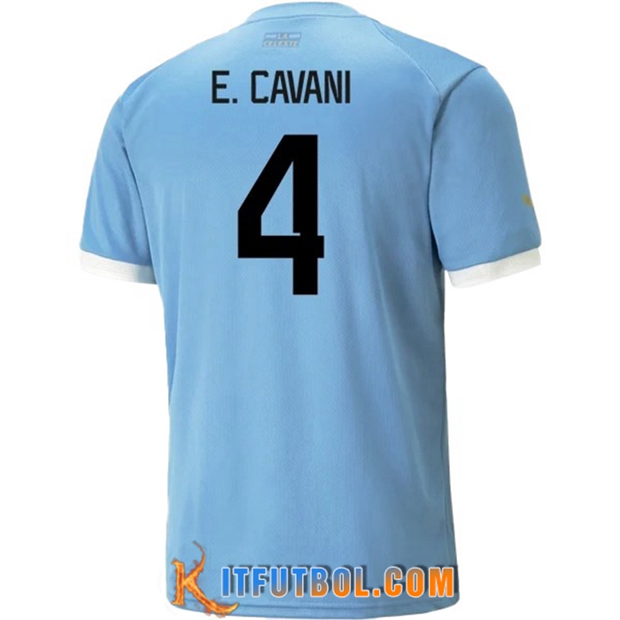 Camiseta Equipo Nacional Uruguay (R.ARAUJO #4) 2022/2023 Primera