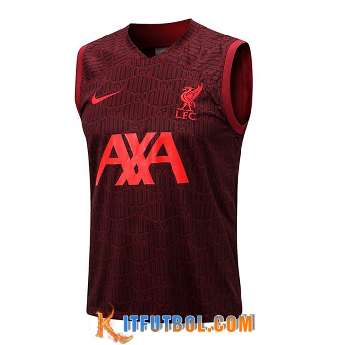 Training Debardeur FC Liverpool Rojo 2022/2023