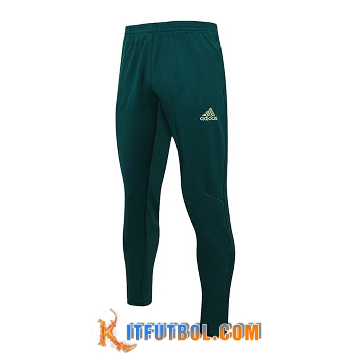 Pantalon Entrenamiento Palmeiras Verde 2022/2023