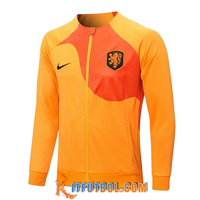 Chaquetas Futbol Países Bajos Naranja 2022/2023