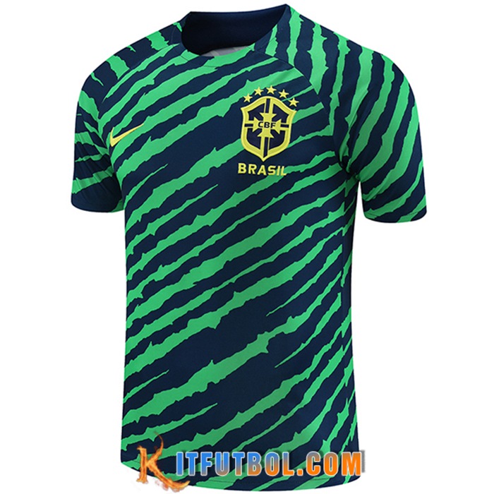 Camiseta Entrenamiento Brasil Verde/Azul 2022/2023