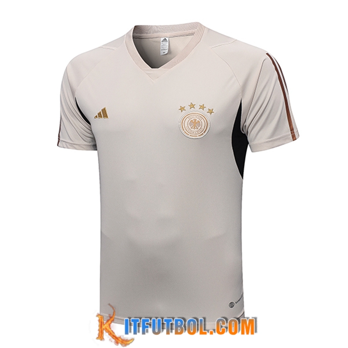 Camiseta Entrenamiento Alemania Gris Claro 2023/2023