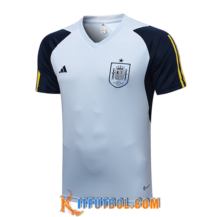 Camiseta Entrenamiento España Azul Claro 2023/2023