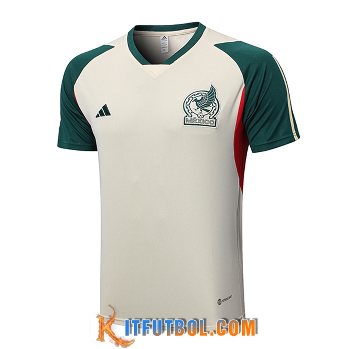 Camiseta Entrenamiento México Beige 2023/2023