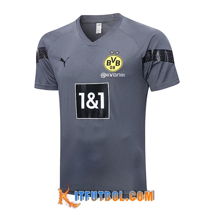 Camiseta Entrenamiento Dortmund Gris 2023/2023