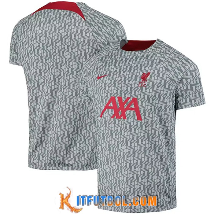 Camiseta Entrenamiento FC Liverpool Gris 2023/2023