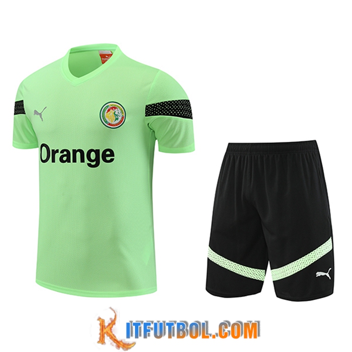 Camiseta Entrenamiento + Cortos Senegal Verde 2023/2024