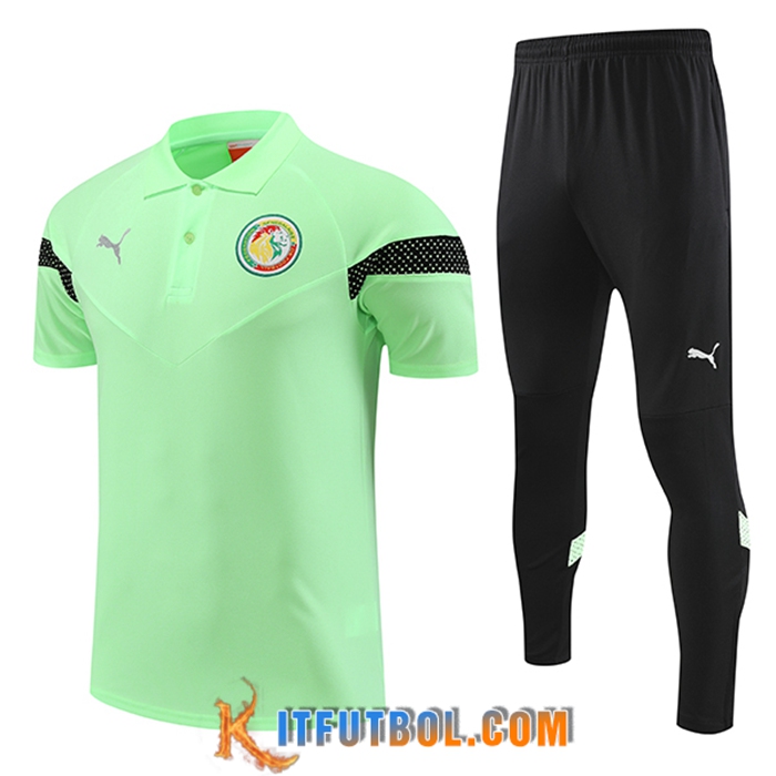 Camiseta Polo Senegal Verde 2022/2023