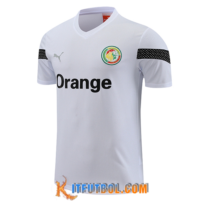 Training T-Shirts Senegal Blanco 2023/2024