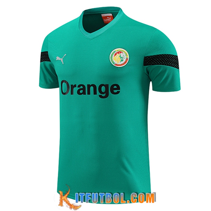 Training T-Shirts Senegal Verde 2023/2024
