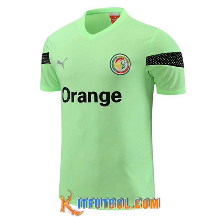 Training T-Shirts Senegal Verde 2023/2024