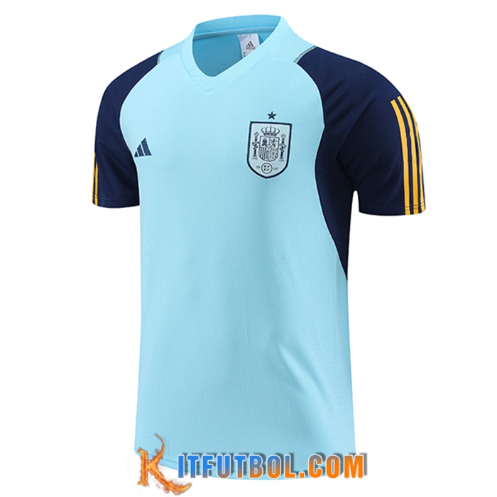 Training T-Shirts España Azul Claro 2023/2024