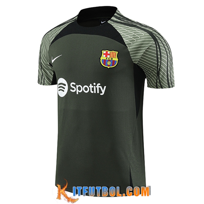 Training T-Shirts FC Barcelona Verde 2023/2024