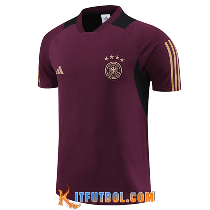 Training T-Shirts Alemania Rojo Foncé 2023/2024
