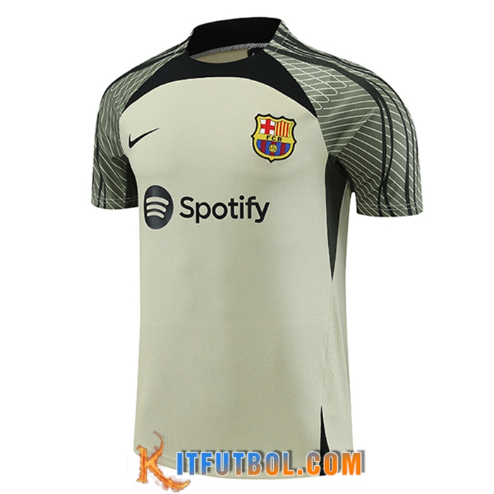 Training T-Shirts FC Barcelona Verde 2023/2024