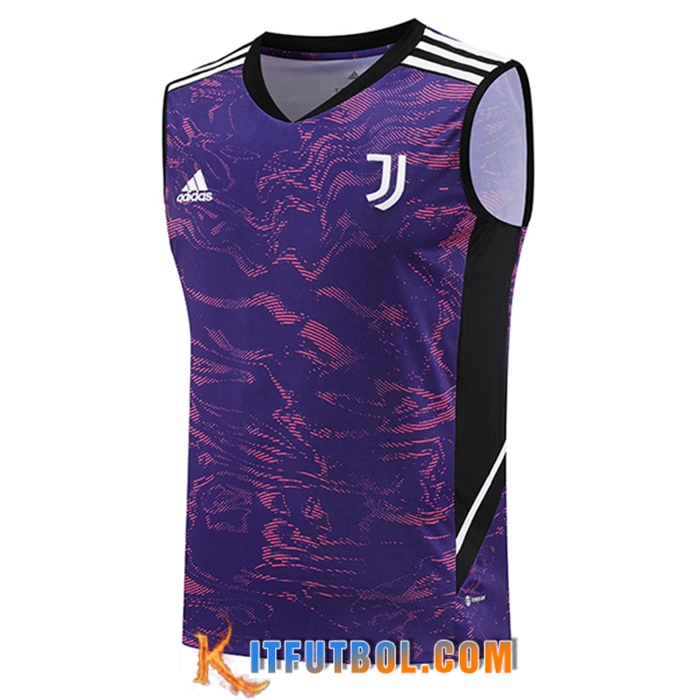 Chalecos De Futbol Juventus Violeta 2023/2024