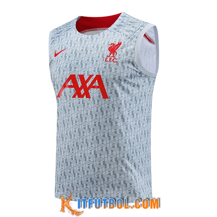Chalecos De Futbol FC Liverpool Gris 2023/2024