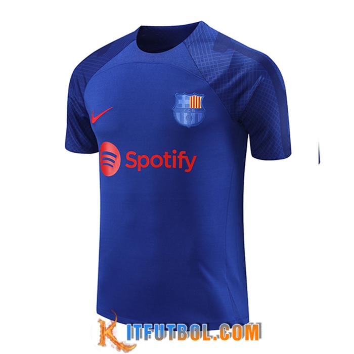 Camiseta Entrenamiento PSG Jordan Rojo 2023/2024