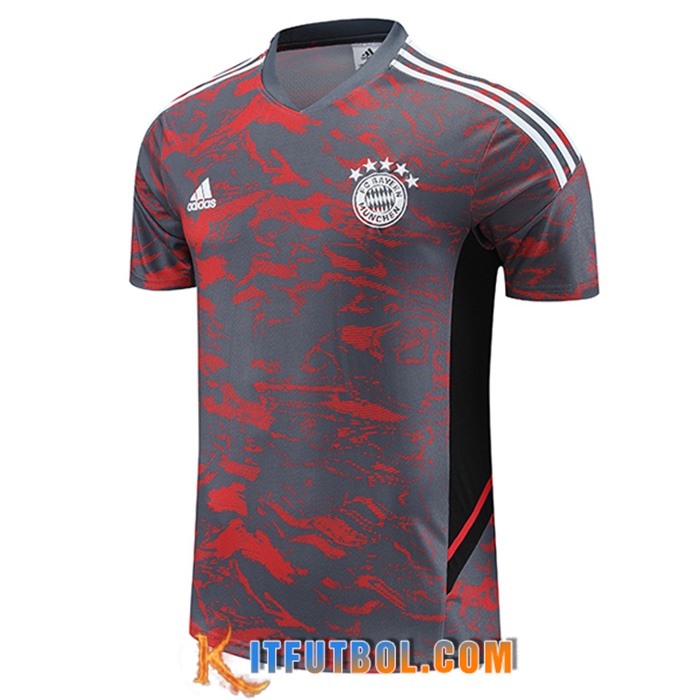 Camiseta Entrenamiento Bayern Munich Rojo/Gris 2023/2024