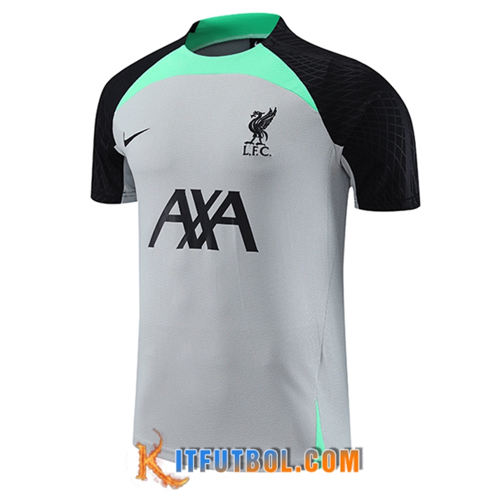 Camiseta Entrenamiento FC Liverpool Gris 2023/2024