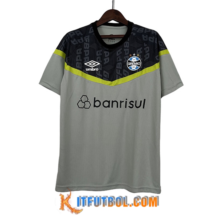 Camiseta Entrenamiento Gremio Gris 2023/2024