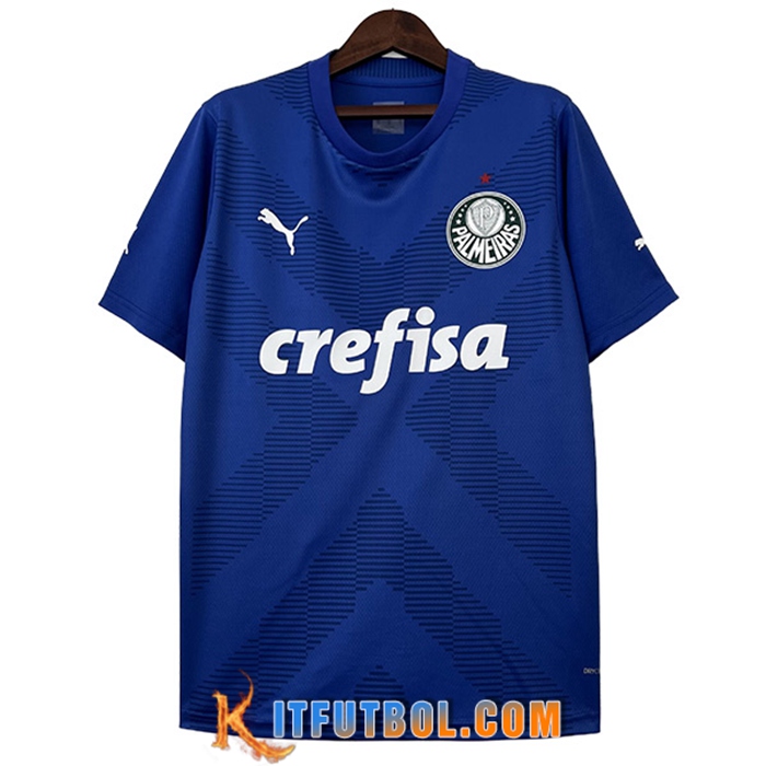 Camisetas De Futbol Palmeiras Portero Azul 2023/2024