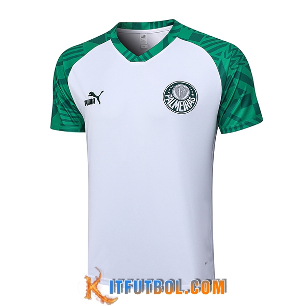 Camiseta Polo Palmeiras Blanco 2023/2024