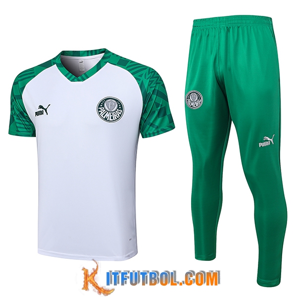 Camiseta Polo Palmeiras Blanco 2023/2024