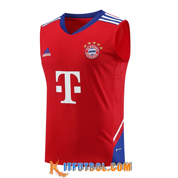 Chalecos De Futbol Bayern Munich Rojo 2023/2024