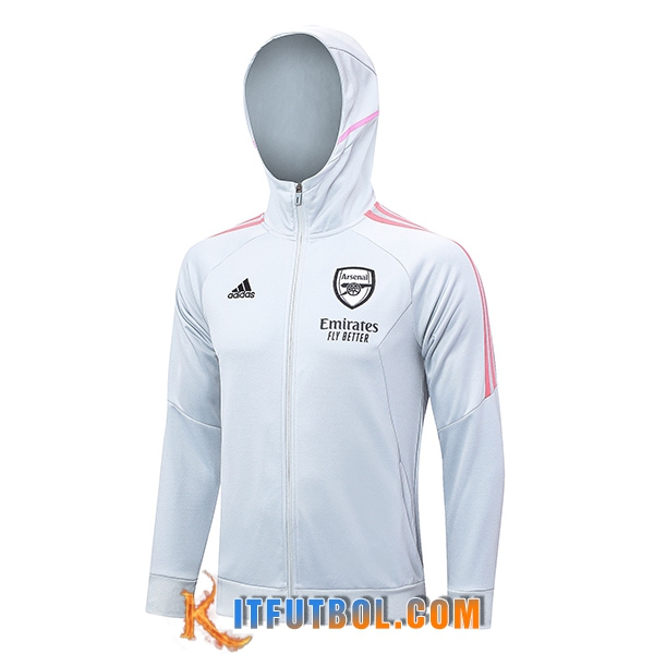 Chaqueta Con Capucha Arsenal Gris Claro 2023/2024